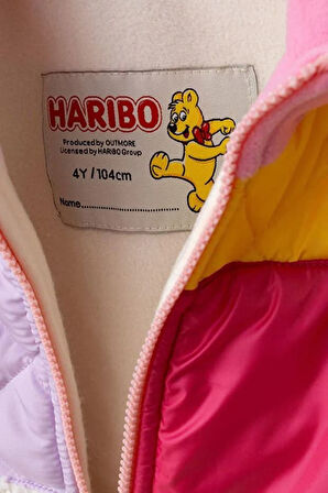 Kız Çocuk Blok Renkli Kapitoneli Polar Ceket - Pembe/Çok Renkli | 8 Yaş