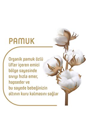 Pure Baby Organik Pamuklu Cırtlı Bez 4 Numara Maxi 78 Adet