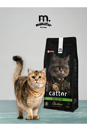 Mamator Hipoalerjenik Cattor Adult Yetişkin Kedi Maması 1.5 KG