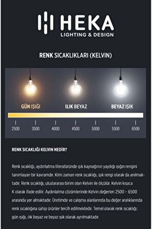 Rustik LED Ampul E27 G95 6W 2700K Gün Işığı 5'li ERD-88