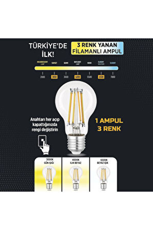 3 Renkli Led Filament Rustik Ampul 6W E27 A60 ERD-261