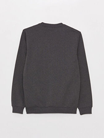 XSIDE Antrasit Bisiklet Yaka Baskılı Erkek Kalın Sweatshirt