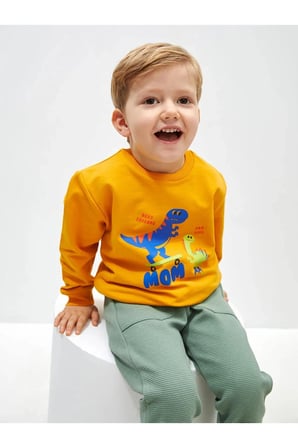 Bisiklet Yaka Uzun Kollu Baskılı Erkek Bebek Sweatshirt