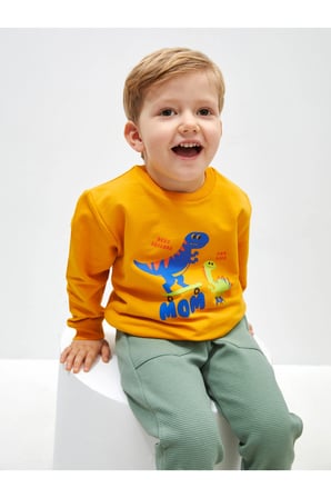 Bisiklet Yaka Uzun Kollu Baskılı Erkek Bebek Sweatshirt
