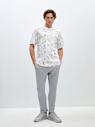 LCW Casual GRİ Slim Fit Erkek Kalın Eşofman Altı