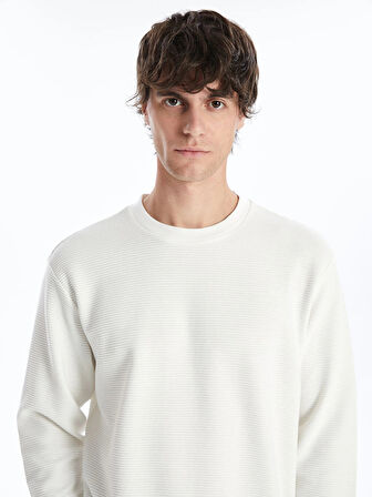 LCW Vision Ekru Bisiklet Yaka Uzun Kollu Erkek Dokulu Sweatshirt