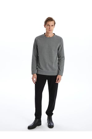 LC WAIKIKI Antrasit Bisiklet Yaka Uzun Kollu Erkek Sweatshirt