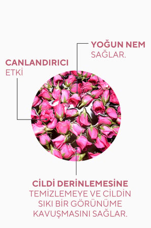 The Ceel Gözenek Sıkılaştırıcı Saf Gül Suyu Tonik Arındırıcı Etkili 100 ml