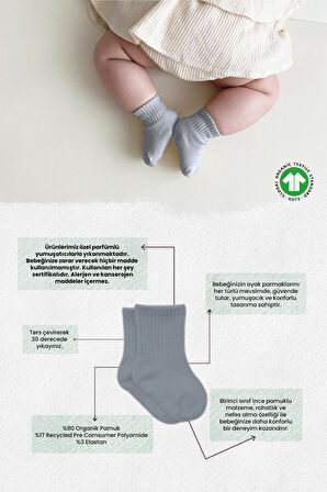 Bistyle Colors 6lı Penye Düz Soket Çorap BS6000 Antrasit