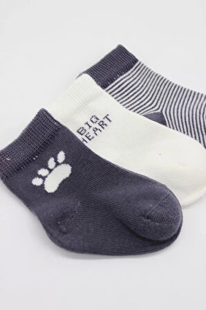 3'lü Penye Soket Çorap Bs10110 Antrasit