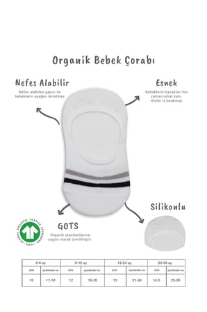 Bistyle 2'li Penye Babet Silikon Çemberli Çorap 30102 Gri Beyaz