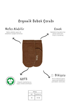 5'li Penye Soket Kutulu Basic Çorap 10131 Bej