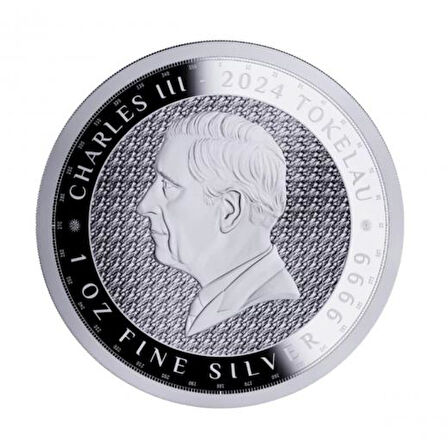 AgaKulche Terra 2024 Gümüş Sikke Coin
