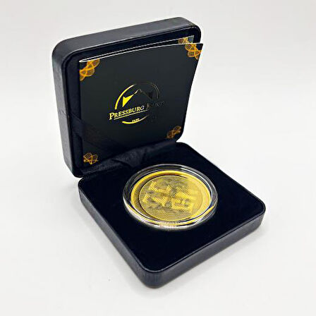 AgaKulche İkon Marilyn Monroe Altın Sikke Coin