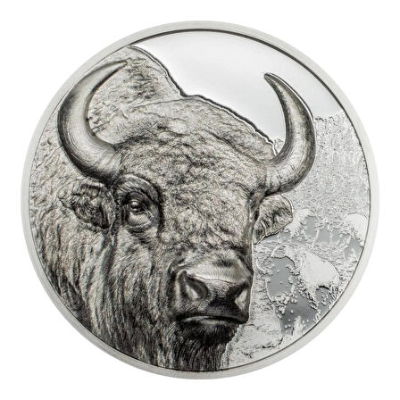 AgaKulche Moğolistan Bizonu Gümüş Sikke Coin