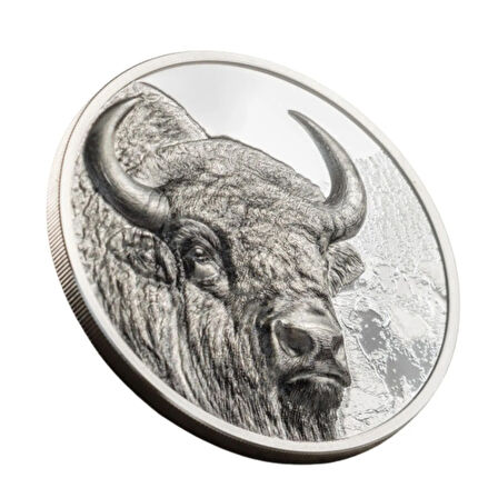 AgaKulche Moğolistan Bizonu Gümüş Sikke Coin