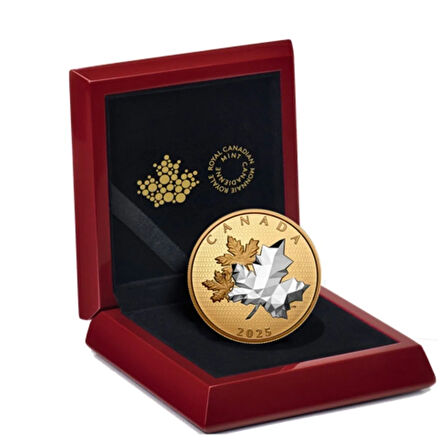 AgaKulche Maple Leaves in Motion 2025 Altın Kaplama Gümüş Sikke Coin