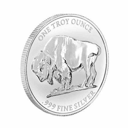 AgaKulche Amerikan Buffalo 2025 Gümüş Sikke Coin
