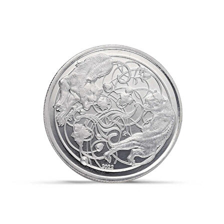 AgaKulche Kaplan Gümüş Sikke Coin