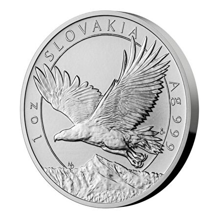 Eagle 2023 1 Ons Gümüş Coin 999