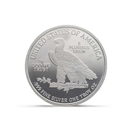 AgaKulche Amerikan Kartalı Gümüş Sikke Coin