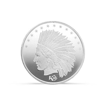 AgaKulche Amerikan Kartalı Gümüş Sikke Coin