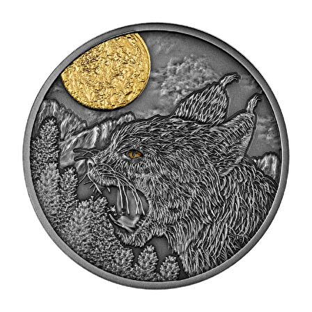 AgaKulche Vaşak Gümüş Sikke Coin