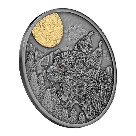 AgaKulche Vaşak Gümüş Sikke Coin