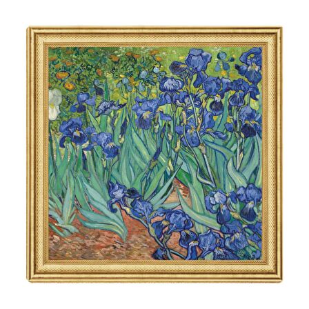 Irises Vincent Van Gogh 170. Anniversary 2023 2 Ons 62.20 Gram Gümüş Sikke Coin (999)