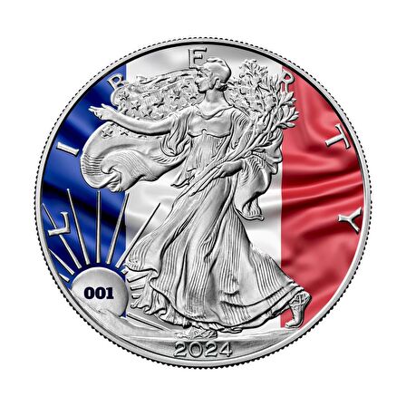 AgaKulche Fransa Bayrağı Gümüş Sikke Coin