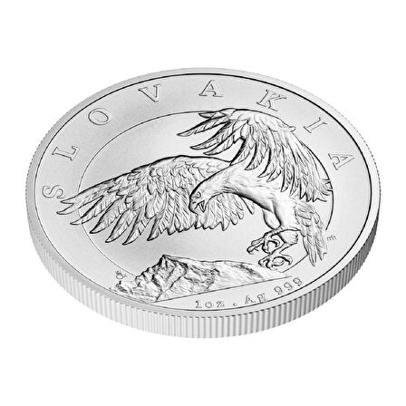 Eagle 2024  1 Ons 31.10 Gram Gümüş Sikke Coin (999)