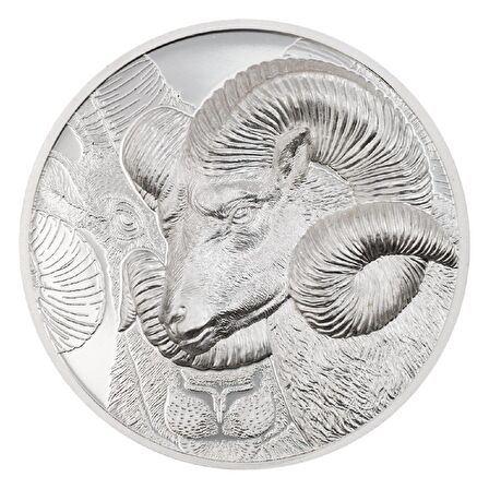 AgaKulche Dağ Koyunu Argali Gümüş Sikke Coin