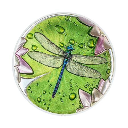 Lily Pad Dragonfly 2024 1 Ons 31.10 Gram Gümüş Sikke Coin (999.9)