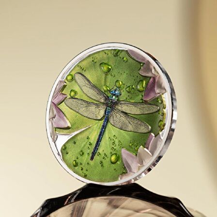 Lily Pad Dragonfly 2024 1 Ons 31.10 Gram Gümüş Sikke Coin (999.9)