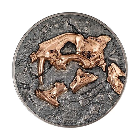 AgaKulche Nimravidae Evrimi 2023 1 Ons Gümüş Sikke Coin