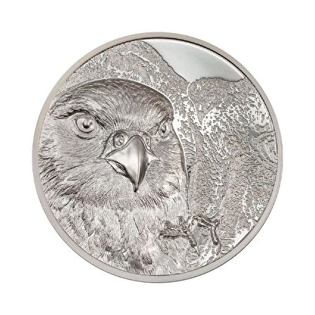 AgaKulche Moğol Şahini Gümüş Sikke Coin