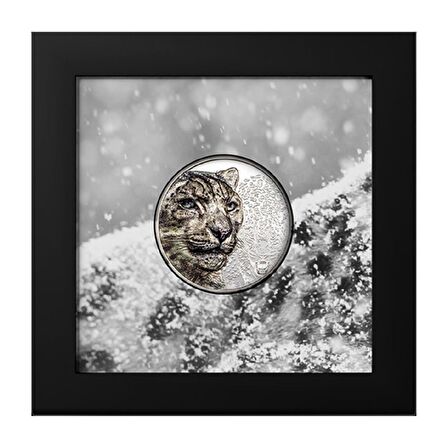 Snow Leopard 2024 1 Ons 31.10 Gram Gümüş Sikke Coin (999.9)