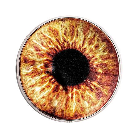 Colored Eyezed Hazel Brown 1 Ons 31.10 Gram Gümüş Sikke Coin (999)
