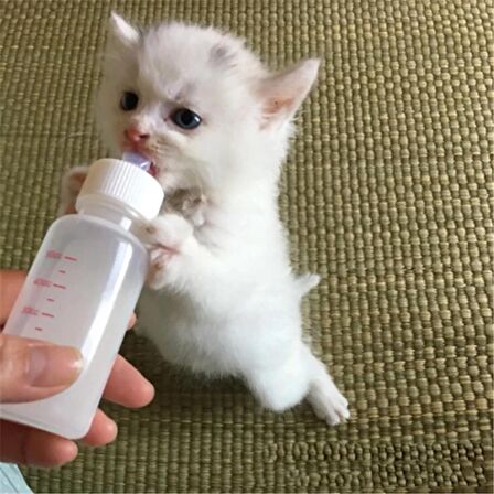 TİNEKE Yavru Kedi Köpek Biberonu 2 Emzikli 50 ml ( 1 Adet )