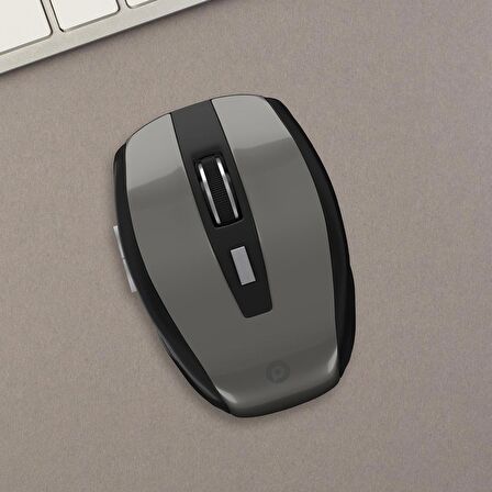 Polosmart PBS301 Kablosuz Mouse Gri