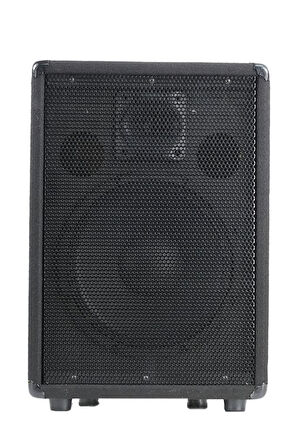 Lastvoice LPM-12 Ahşap Profesyonel Kabin Hoparlör 12 inç 800W