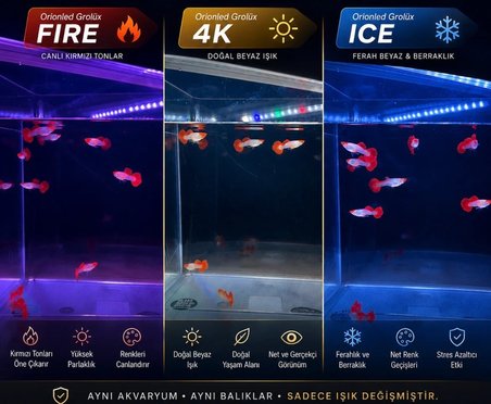 OrionLed AquaSlim Grolux Fire 80cm