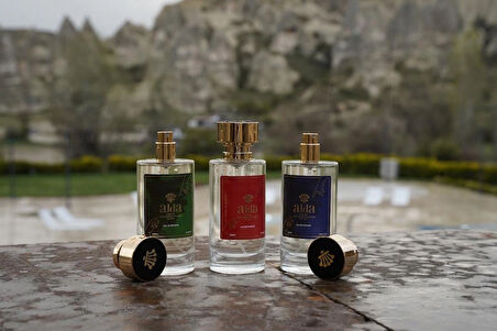  Ar1 Aromatik-fresh Edp Erkek Parfüm 100 ml