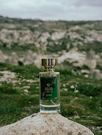 MO1 Çiçeksi Edp Unisex Parfüm 100 ml