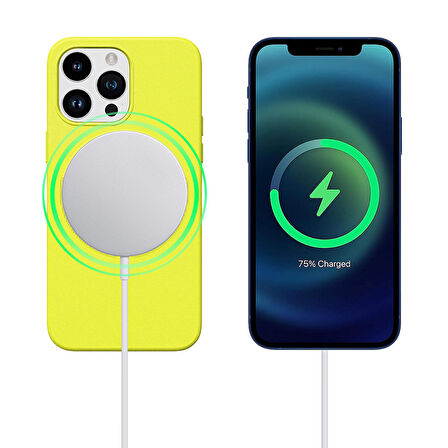 iPhone 13 Pro Max Magsafe Özellikli Leather Deri Kılıf
