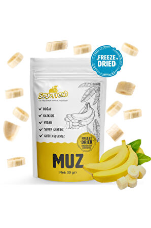 Dondurularak Kurutulmuş Meyve 3'lü Set 1 (Çilek 15g, Muz 30g, Kivi 20g)