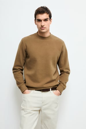 Logan Erkek Sweatshirt Deve Tüyü