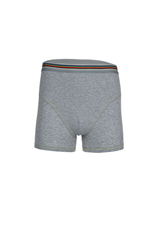 Bsm Erkek Modal Boxer 44503 