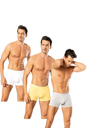  Looksense Erkek Dude 3Lü İnce Bel Lastikli Likralı Boxer 12003 