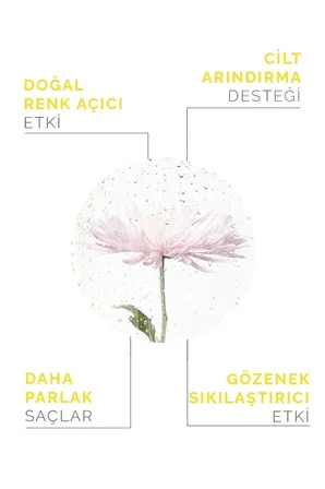 Onka Farma Papatya Suyu / Hidrosolü Saç Renk Açıcı Tonik Yağı Alınmamış Doğal Içerik 100 ml